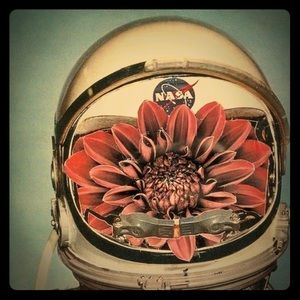 Meet your Posher, Caylin